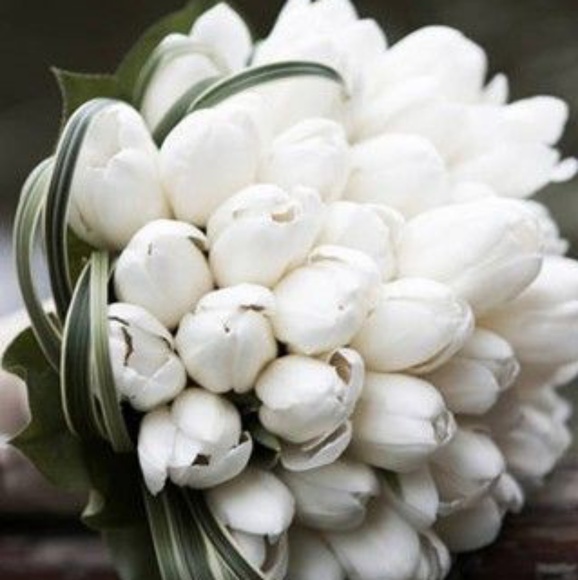 πNecklace Bundle-Cannot Bundle can only be bought a this pr Lot only - Picture 2 of 7